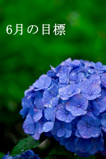 こんつま 6月の目標